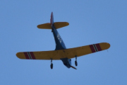 Morten 16 juni 2025 - LN-BIF besøker Høyenhall, det er Nedre Romerike Flyklubb Veteranflygruppa som kommer med sin Fairchild PT-19A Cornell M-62A nr.163 fra 1944