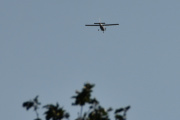 Morten 16 juni 2025 - LN-NAE besøker Høyenhall, da kan jeg ha et problem med Cessna over Høyenhall. Men jeg gravde dypt i bildebasen min og fant et bilde av deg med hjulene nede, det er fra 24 august 2019 og ligger nå på flysiden