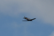 Morten 25 juni 2025 - LN-TEX over Høyenhall, det er Norwegian Spitfire Foundation som er ute med sin North American T-6G Harvard fra 1944
