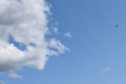 Morten 2. pinsedag 9 juni 2025 - LN-TEX og Politihelikopter over Høyenhall, har jeg sett Norwegian Spitfire Foundation med sin North American T-6G Harvard fra 1944 med Politiet i helene?