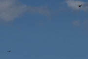 Morten 2. pinsedag 9 juni 2025 - LN-TEX og Politihelikopter over Høyenhall, men har jeg sett LN-TEX i pinsen før? Svaret er ja, se på Pinseaften 30 mai 2020 og Pinseaften 18 mai 2024 og 1. pinsedag 19 mai 2024 og 2. pinsedag 20 mai 2024. Jeg har nesten kontroll på pinsen nå