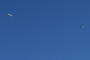 Morten 15 mai 2025 - LN-FTM besøker Høyenhall, så her ser vi Oslo Flyveklubb nærmer seg Lufthansa sin Airbus A320-214 fra 2019