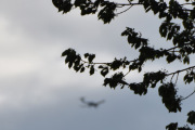 Morten 16 mai 2025 - Diamond DA-40 over Høyenhall, her var jeg for sent ute. Håper det ikke fortsetter sånn. Jeg så nemlig en den 16 mai 2022 og 16 mai 2024, så dem er ute denne dagen
