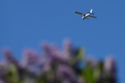 Morten 18 mai 2025 - LN-DFM besøker Høyenhall, så jeg har et problem med turene mine som ikke er på flysiden...