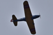 Morten 20 mai 2025 - LN-BIF besøker Høyenhall, det er Nedre Romerike Flyklubb Veteranflygruppa som kommer med sin Fairchild PT-19A Cornell M-62A fra 1944
