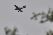 Morten 20 mai 2025 - LN-BIF over Høyenhall, så ble det en del bilder i august 2018. Men her fant jeg da ingen fugler