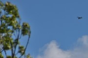Morten 29 mai 2025 - LN-TVI over Høyenhall, men jeg husker 30 mai 2020, da lå du som småfly. Det har jeg rettet for lenge siden