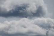 Morten 31 mai 2025 - Cessna over Høyenhall, dessverre så har vi været i Norge og det er lunefylt