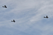 Morten 8 mai 2025 - LN-WNO og LN-ACL og LN-ACJ over Høyenhall, jeg tror ikke det, det var tre Piper L-4J Grasshopper fra 1944 jeg så 8 mai 2020