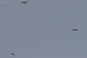Morten 15 november 2025 - LN-XIO og LN-FIN og LN-ABL i formasjon over Skien flyplass. Jeg har vel aldri tatt bilde av tre Van´s samtidig, eller har jeg det? Jeg husker 28 august 2022 over Drøbak, da så jeg LN-XIO og LN-ABL sammen