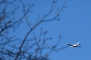 Morten 20 november 2025 - LN-IFI over Høyenhall. Jeg har faktisk ingen bilder fra november, men 15 oktober 2022 ble et spennende bilde