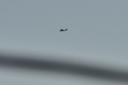 Morten 29 november 2025 - Cessna over Høyenhall, jeg har noen valg her på Cessna som flyr med hjulene oppe