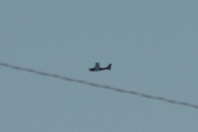 Morten 29 november 2025 - Cessna over Høyenhall