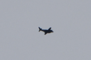 Morten 12 oktober 2025 - Piper PA-31-350 Chieftain over Høyenhall, klokken er 12.54 og nå bare gjetter jeg. Jeg så en den 9 oktober 2020 og 11 oktober 2021 og 3 oktober 2022 og 18 oktober 2023 også