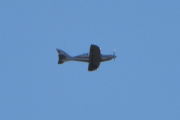Morten 17 oktober 2025 - LN-WTF over Høyenhall, det er Thomas som er ute med sin Turbo Shark 600 EXP fra mars 2024. Jeg begynner og få noen bilder nå, jeg har 14 september 2024 på Hamar flyplass, og 23 juli 2025 og 17 og 21 september 2025