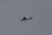 Morten 26 oktober 2025 - LN-NAE over Høyenhall, jeg tror dette er Sameiet LN-NAE som er ute med sin Cessna 177RG Cardinal RG II fra 1976. Jeg er litt spent på hva jeg kan finne i oktober