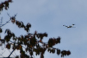 Morten 8 oktober 2025 - LN-ABZ over Høyenhall igjen, jeg skulle gjerne hatt et bilde av Diamond DA-50 C med en fugl. Jeg tror at senere så kan jeg få til det :-)