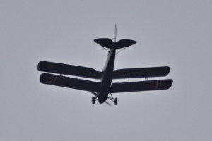 Småfly 2025 september