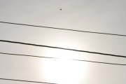 Morten 19 september 2025 - LN-NRO over Høyenhall, her får vi dem med solen også