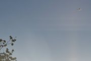 Morten 24 september 2025 - LN-TEX over Høyenhall, men den klarer jeg ikke å fange opp. Er det en fugl i treet der?