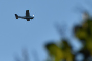 Morten 25 september 2025 - LN-BDL over Høyenhall, men nå kommer Norwegian og dere forsvinner bak et tre
