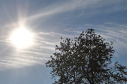 Morten lørdag 27 september 2025 - LN-MAZ over Høyenhall, men her fikk vi med solen, dem er til høyre for treet