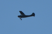 Morten lørdag 27 september 2025 - LN-WNO over Høyenhall, klokken er 13.54 og det er Nedre Romerike Flyklubb Veteranflygruppa som er ute med sin Cessna 305C L-19E O-1E Bird Dog fra 1957. Jeg husker 15 september 2022 over Høyenhall og 14 september 2024 på Hamar flyplass
