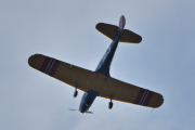 Morten 6 september 2025 - LN-BIF besøker Høyenhall, det er Nedre Romerike Flyklubb Veteranflygruppa som kommer med sin Fairchild PT-19A Cornell M-62A nr.163 fra 1944. Dem er nok på vei til Notodden flyplass hvor det skal være Telemark Airshow i morgen