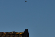 Morten 7 september 2025 - LN-KAY og LN-BGK over Høyenhall, det er en ting jeg vil nevne. Det er mange frivillige som er med på og få til Telemark Airshow, og noen av flyene er utstilt på bakken, mens dem hjelper til. Er jeg på rett spor nå?