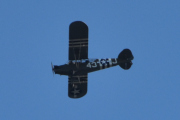 Morten 7 september 2025 - LN-MAV over Høyenhall, han legger seg i posisjon, mulig at han vil fortelle meg noe...