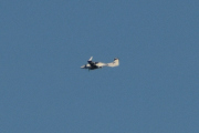 Morten 28 april 2026 - Diamond DA-50 C over Høyenhall