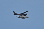 Morten 29 april 2026 - Sjøfly over Hvitsten