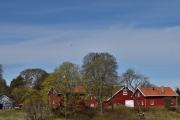 Morten 29 april 2026 - Sjøfly over Hvitsten