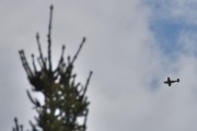 Morten 10 mai 2026 - LN-BII over Høyenhall igjen