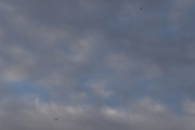 Morten 25 mai 2026 - LN-AGW over Høyenhall