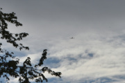 Morten 25 mai 2026 - LN-RAF over Høyenhall