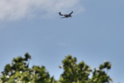 Morten 29 mai 2026 - LN-PFG over Østre gravlund