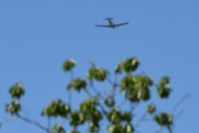 Morten 30 mai 2026 - LN-TEX over Høyenhall
