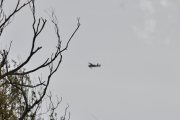 Morten 9 mai 2026 - LN-WNB over Ekeberg