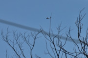 Morten 31 mars 2026 - Diamond DA-40NG over Høyenhall