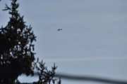 Morten 5 mars 2026 - Cessna over Høyenhall