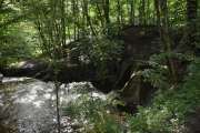 Frognerelva