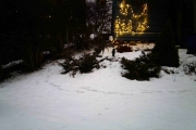 31 desember 2017 - Og selvfølgelig Skjæra
