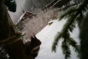 Knut 23 desember 2017 - Ekorn i Maridalen