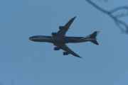 Knut 16 desember 2018 - Stort fly over Maridalen