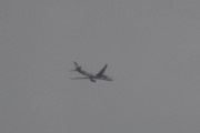 Morten 11 august 2018 - Stort fly over Høyenhall