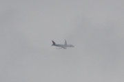 Morten 11 august 2018 - Stort fly over Høyenhall