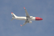Morten 12 august 2018 - Stort fly over Høyenhall