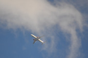 Morten 12 august 2018 - Stort SAS fly over Høyenhall