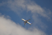 Morten 12 august 2018 - Stort SAS fly over Høyenhall